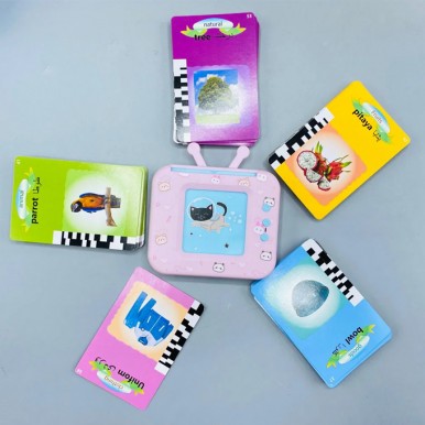 Mihraaj | Misen Rechargeable English & Urdu Smart Flash Card Reader for Kids